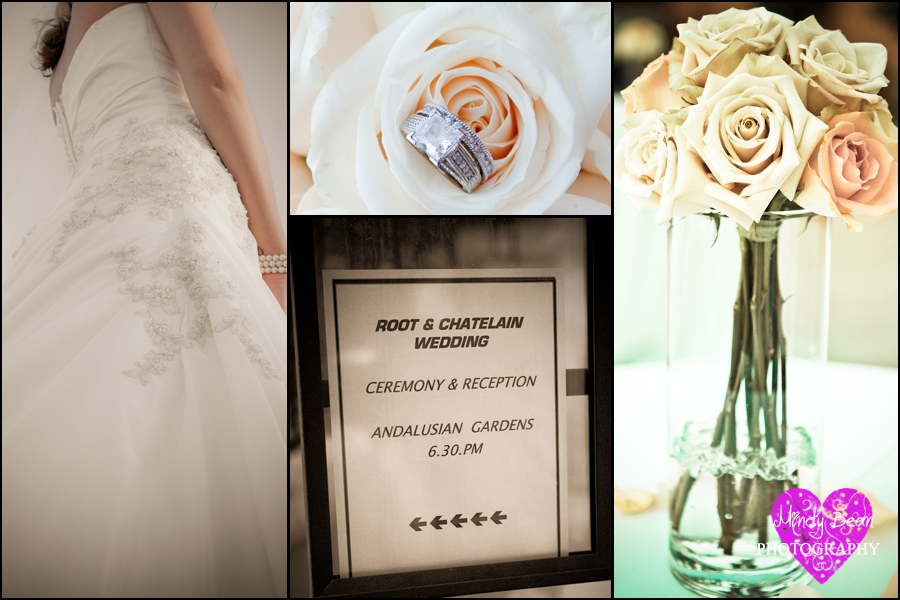 Lake Las Vegas Wedding pictures, Mindy bean photography, las vegas wedding , outdoor wedding pictures
