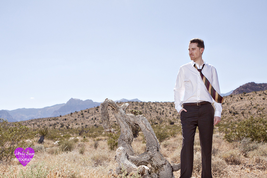 Mindy Bean Photography, las vegas wedding photographer, photographer las vegas, who take photos, las vegas strip pictures