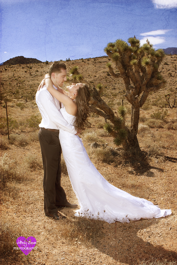 Mindy Bean Photography, las vegas wedding photographer, photographer las vegas, who take photos, las vegas strip pictures