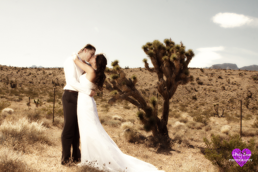 Mindy Bean Photography, las vegas wedding photographer, photographer las vegas, who take photos, las vegas strip pictures