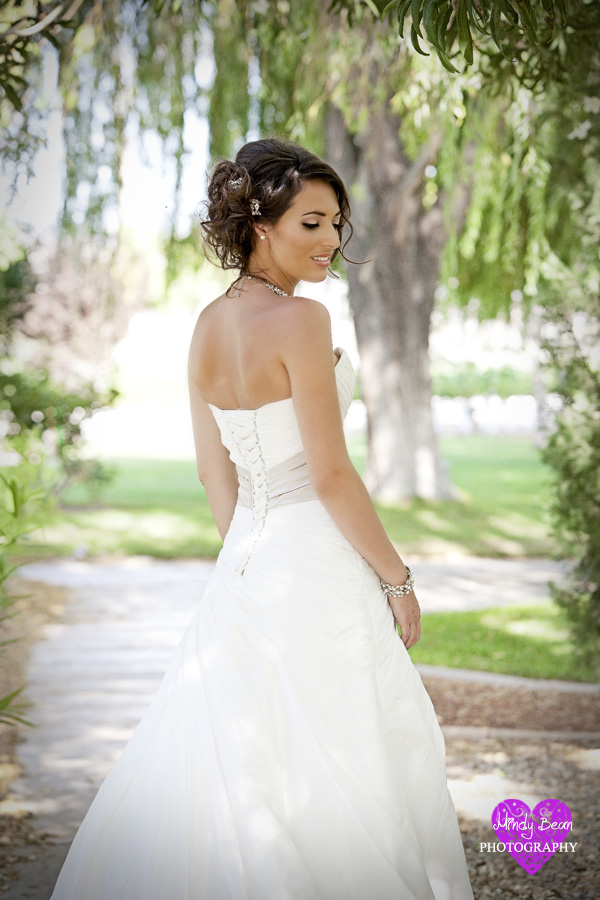 mindy bean photography, las vegas wedding, vineyard wedding, cakes, makeup,