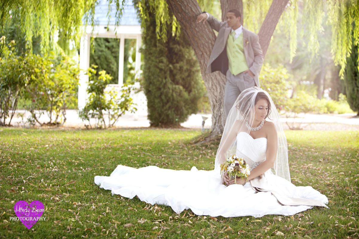 mindy bean photography, las vegas wedding, vineyard wedding, cakes, makeup,