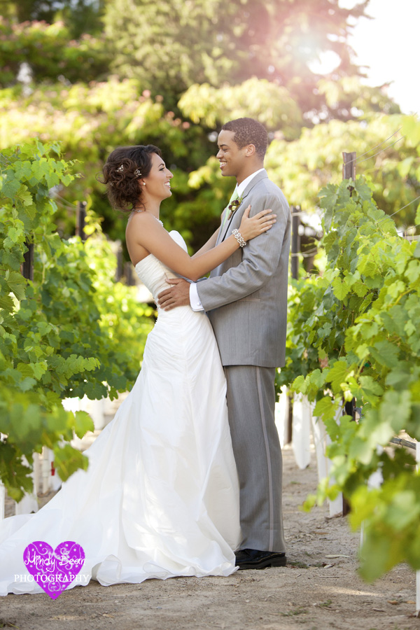 mindy bean photography, las vegas wedding, vineyard wedding, cakes, makeup,