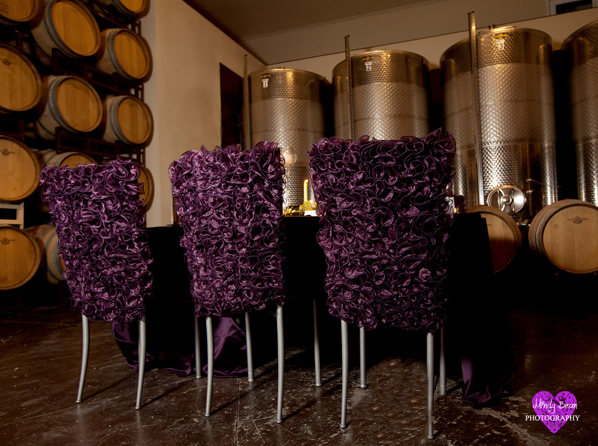mindy bean photography, las vegas wedding, vineyard wedding, cakes, makeup,