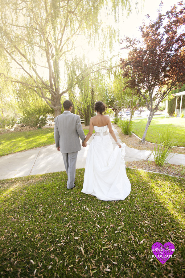 mindy bean photography, las vegas wedding, vineyard wedding, cakes, makeup,