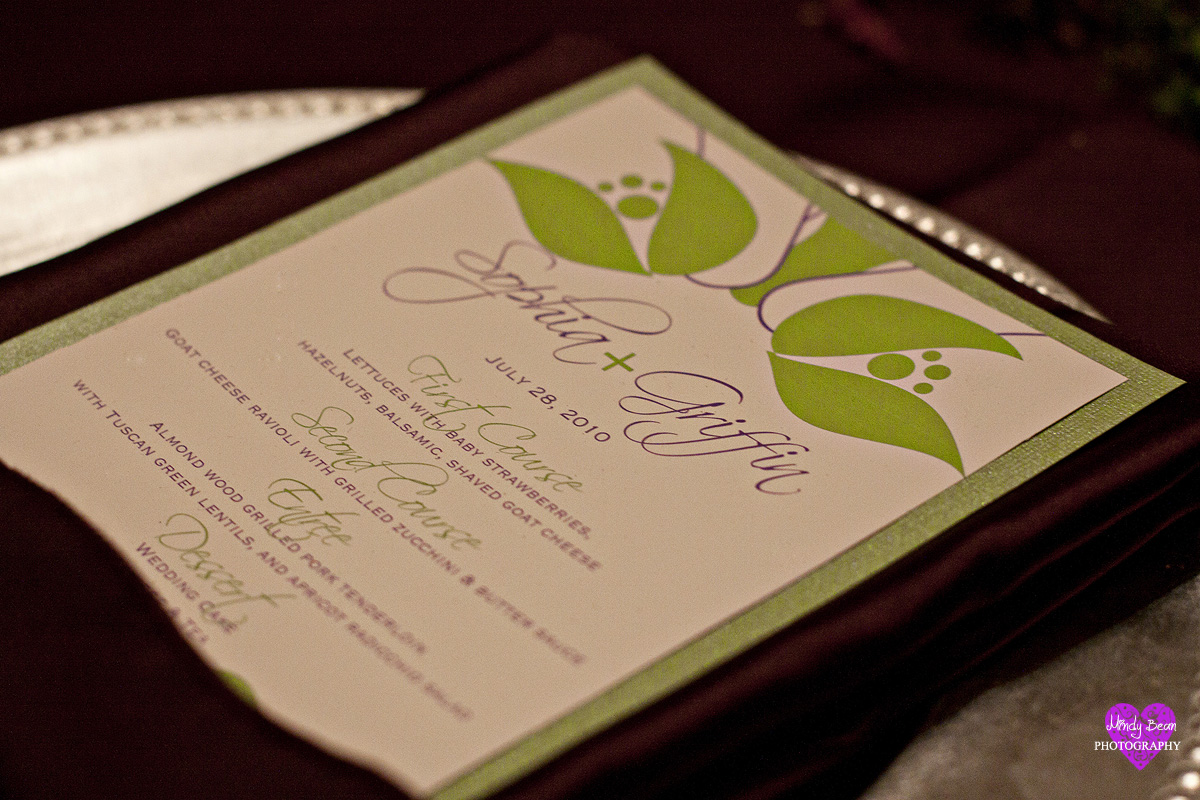 mindy bean photography, las vegas wedding, vineyard wedding, cakes, makeup,