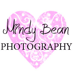 Las Vegas Wedding Photographer | Mindy Bean Photography Blog logo